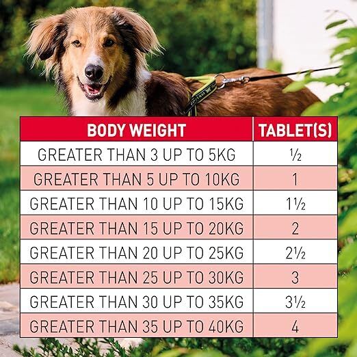 Beaphar WORMclear Dog Up To 20kg