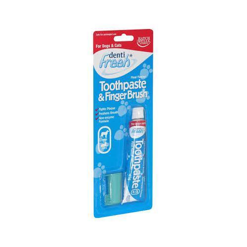 Dentifresh Toothpaste Starter Kit