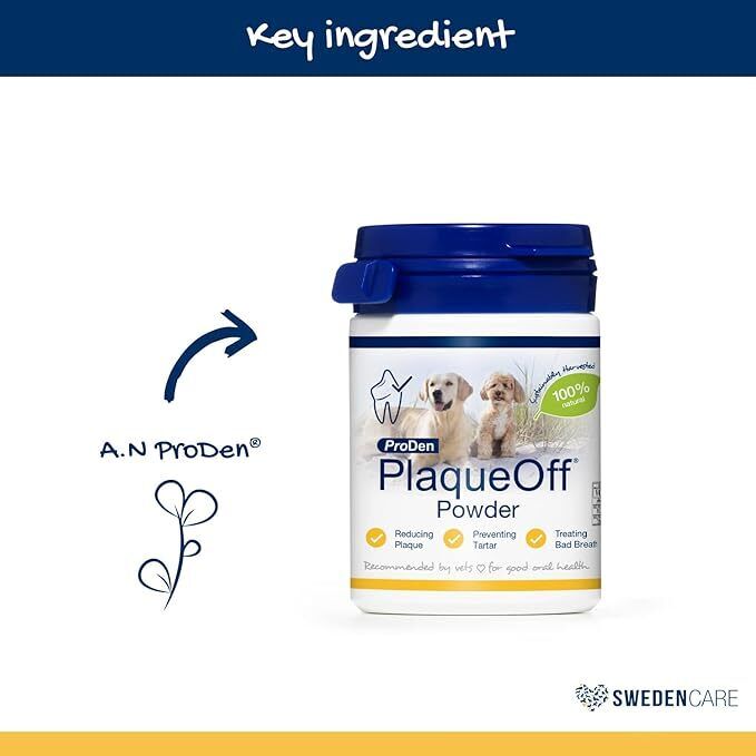 ProDen PlaqueOff Powder 60g | For Dogs and Cats