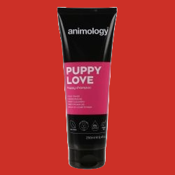 Animology Puppy Love Shampoo