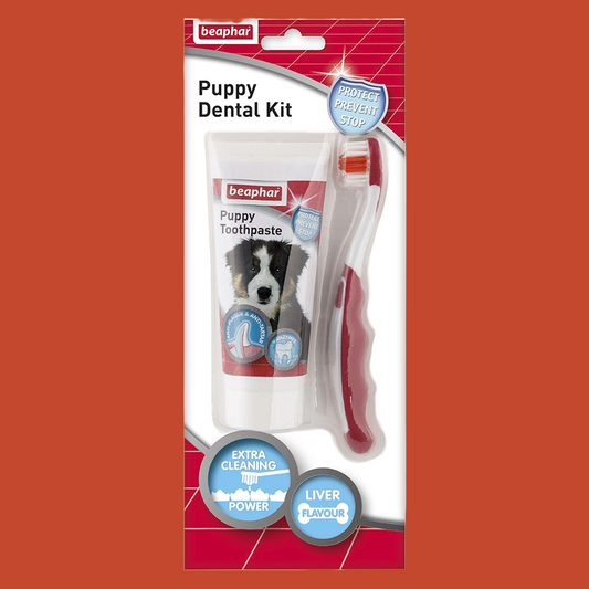 Beaphar Puppy Dental Kit