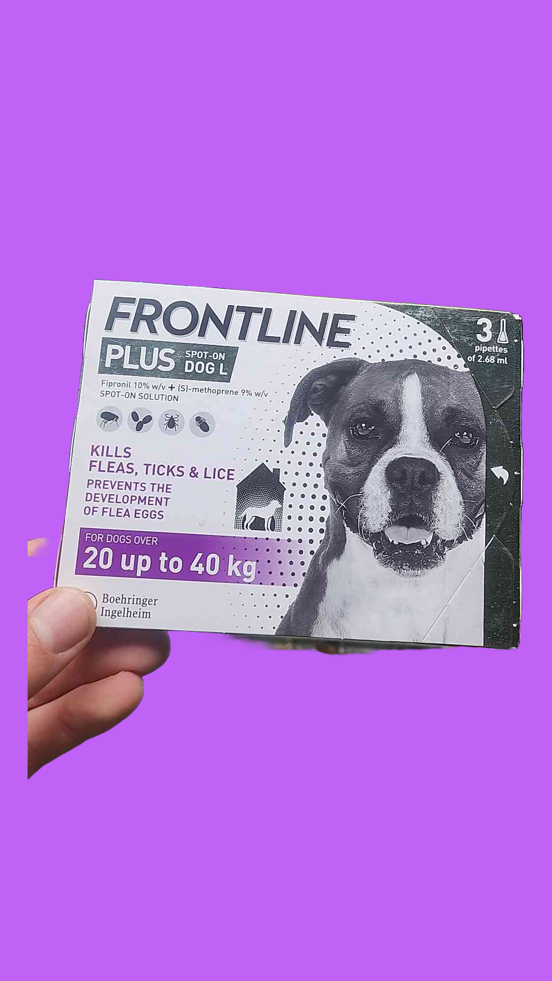 FRONTLINE Plus Flea and Tick - Large Dogs 3pips