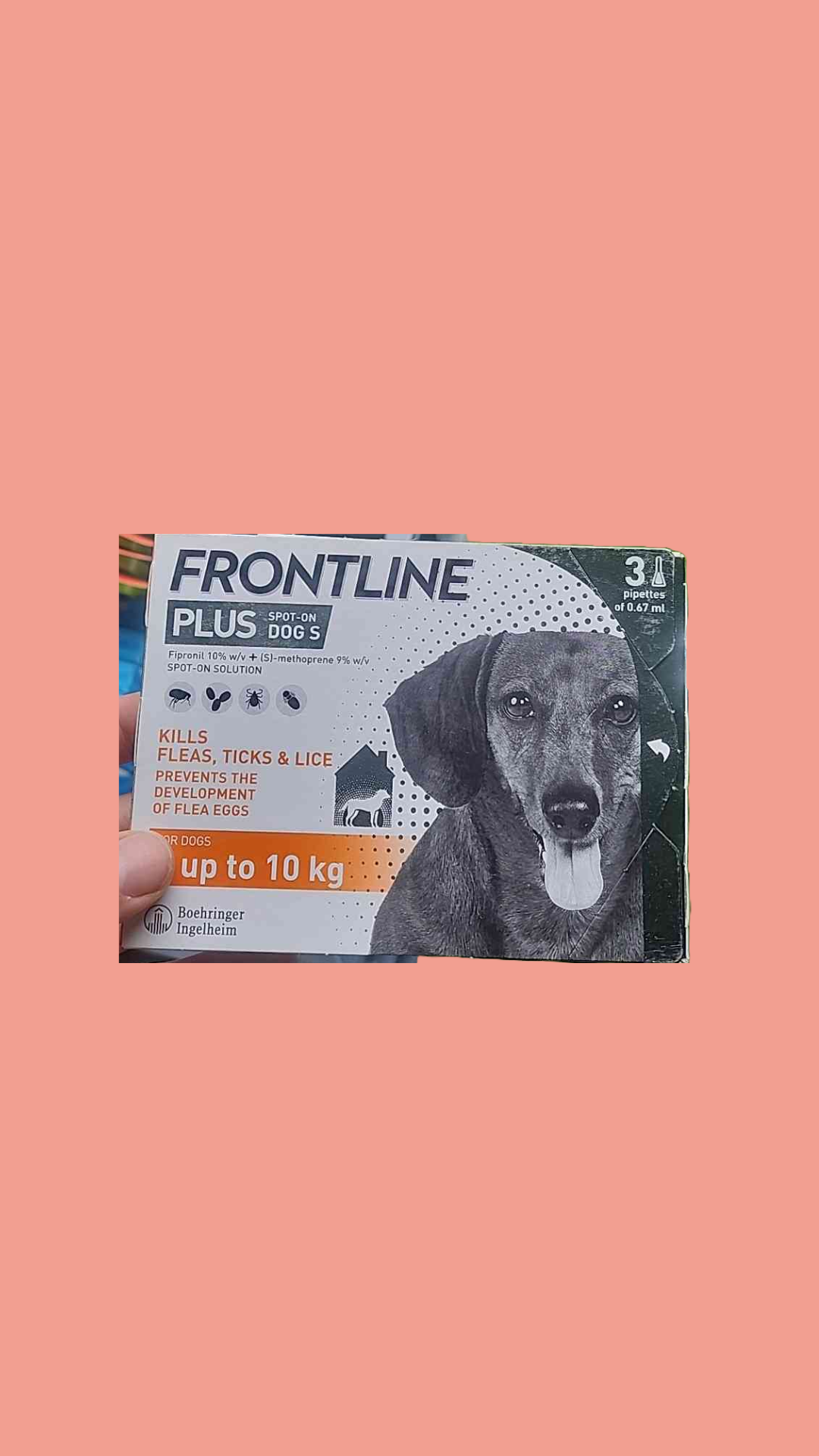 FRONTLINE Plus Flea & Tick for Small Dogs - 3 Pips