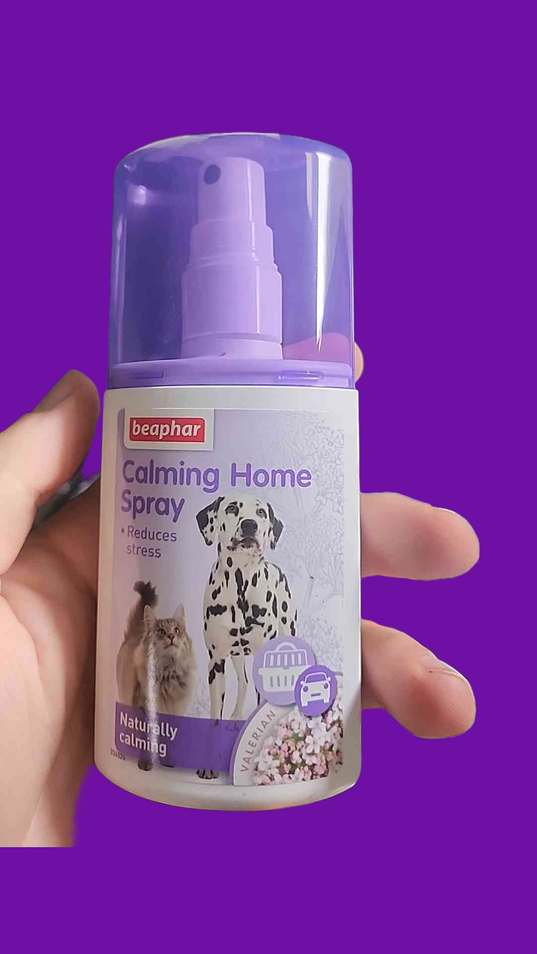 Beaphar Calming Home Spray