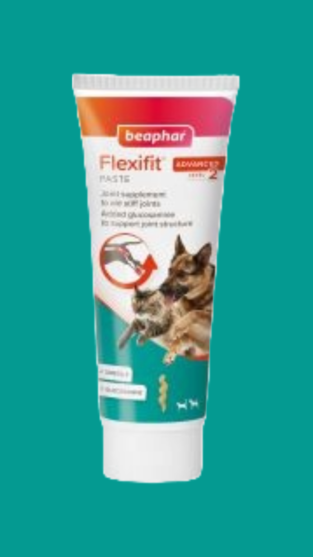 Beaphar Flexifit Joint Paste for Cats & Dogs