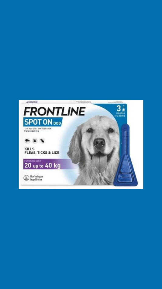 FRONTLINE Spot On Dog Large - 3 pips