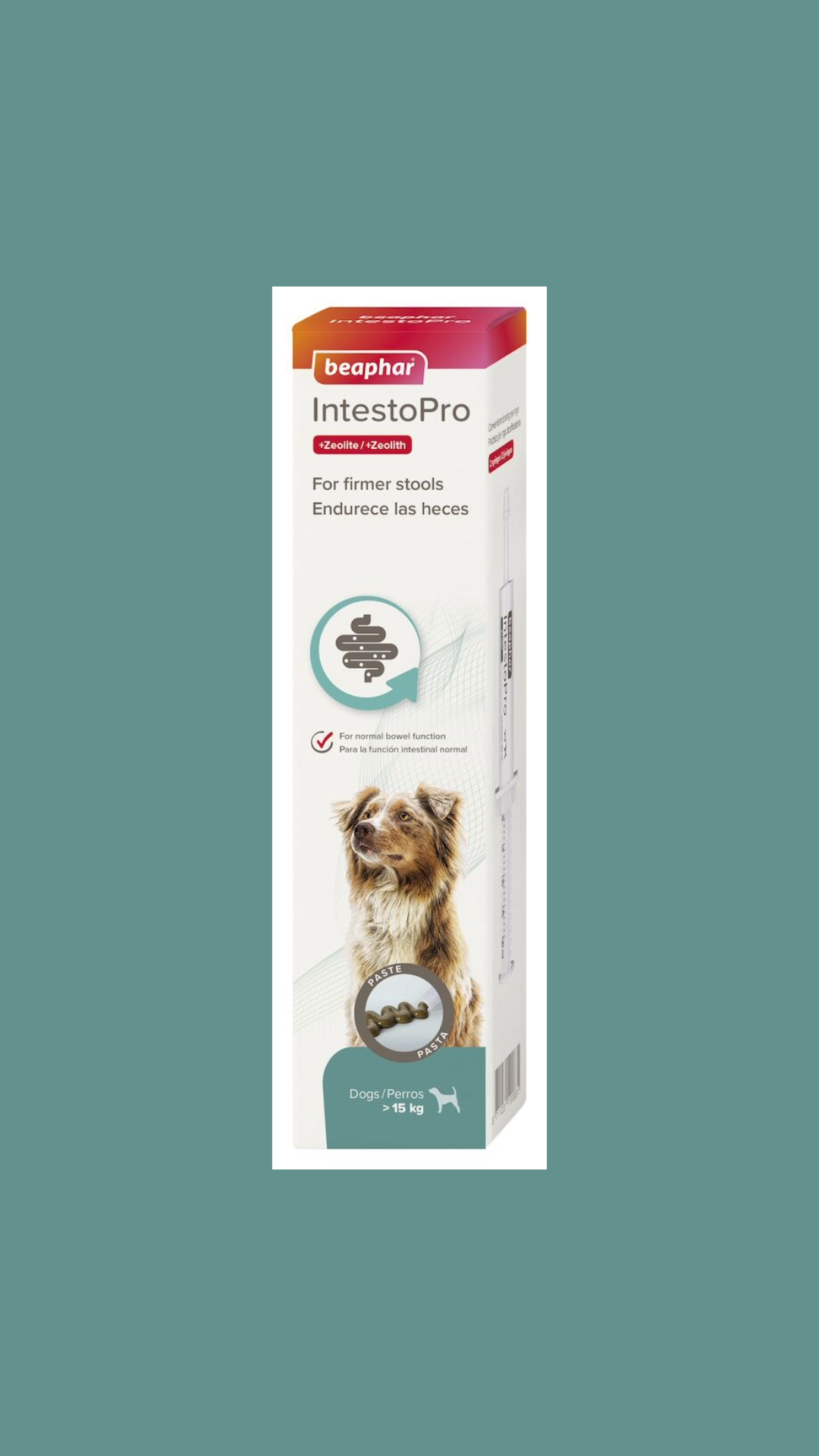 Beaphar IntestoPro Paste for Dogs x2