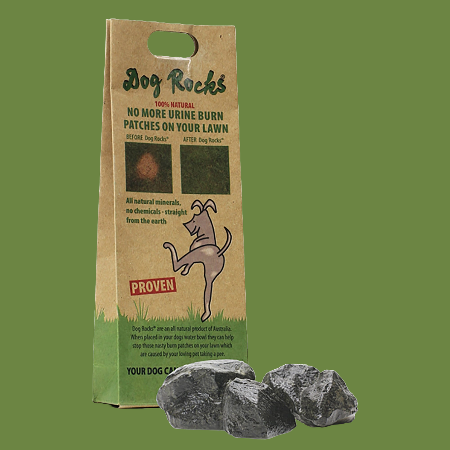 Dog Rocks Igneous Rock